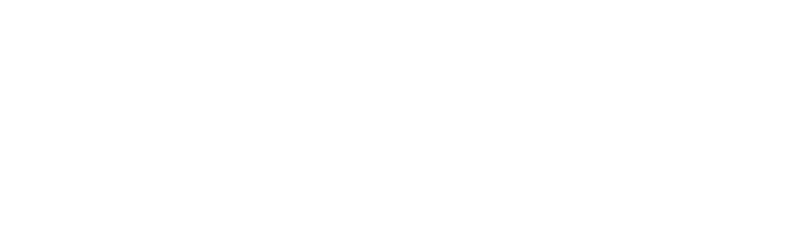 dinamic_calzados_logo-negativo